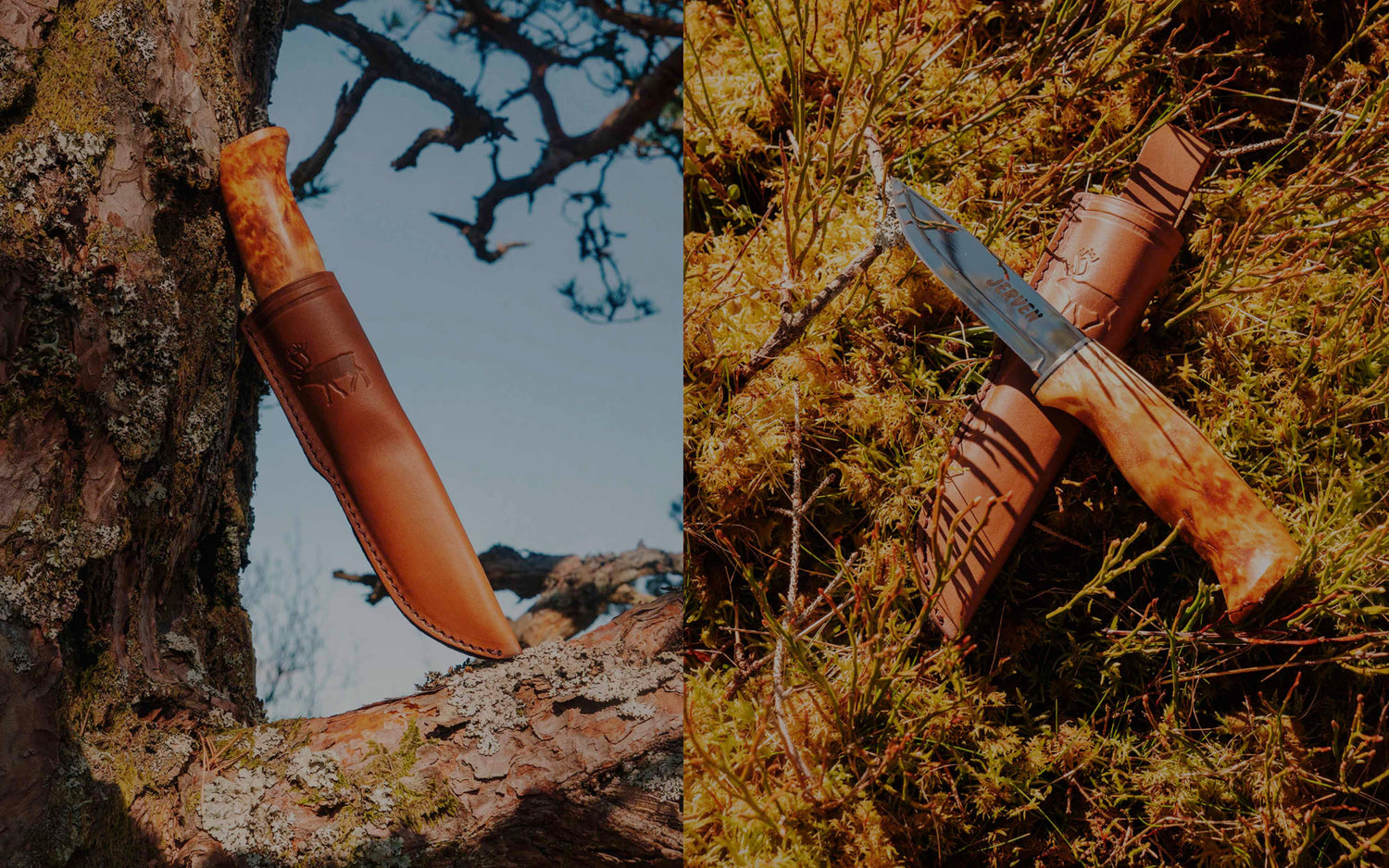 Kniver